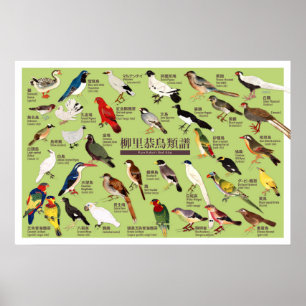 Vintage Japanese Bird Atlas Illustration Poster