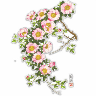 Vintage Japanese Cherry Blossoms, Pink and Gold