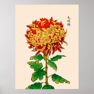 Vintage Japanese Chrysanthemum. Gold and Orange Poster