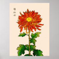 Vintage Japanese Chrysanthemum. Orange and Gold