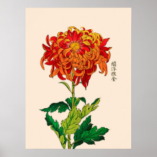 Vintage Japanese Chrysanthemum. Rust and Orange Poster