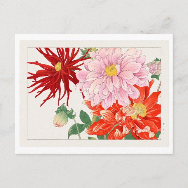 Vintage Japanese Dahlia Woodblock Print Postcard (Front)
