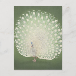 Vintage Japanese Fine Art   Peacock Postcard