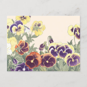 Vintage Japanese Floral Art Pansy Flowers Colourfu Postcard