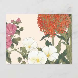 Vintage Japanese Floral Ornamental Allium Flower Postcard