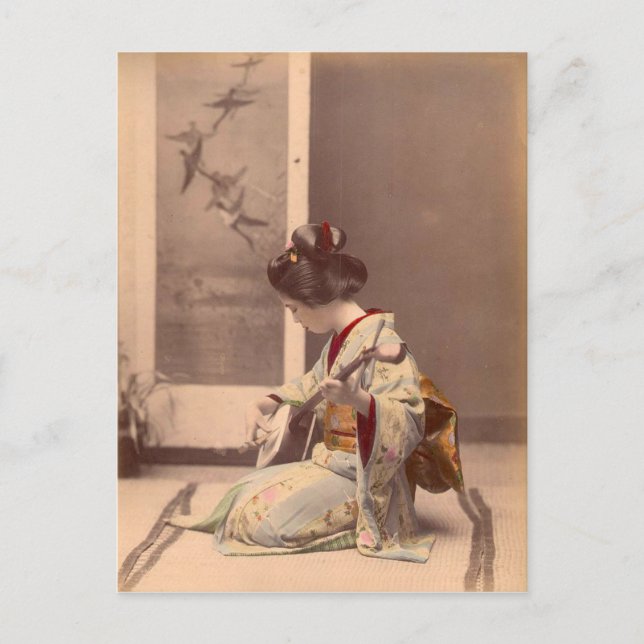 Vintage Japanese geisha playing the shamisen Postcard (Front)