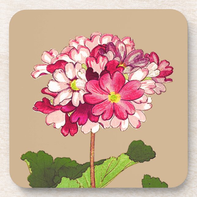 Vintage Japanese Hydrangea. Pink and Green Coaster (Front)