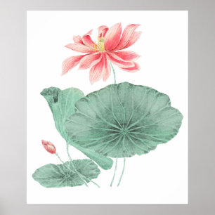 Vintage Japanese lotus art print