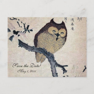 Vintage Japanese Owl Save the Date Announcement Postcard