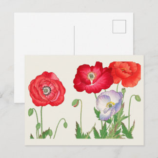 Vintage Japanese Poppy Botanical Art 1917 Postcard