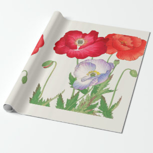 Vintage Japanese Poppy Botanical Art 1917 Wrapping Paper