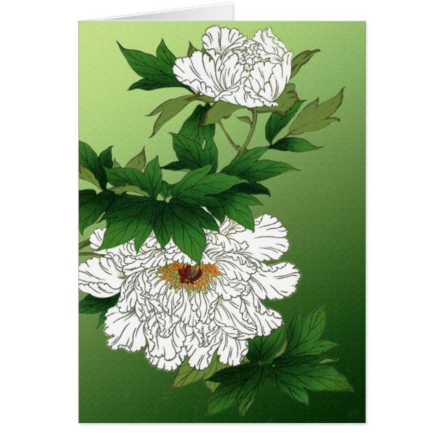 Vintage Japanese Sketch of Large White Peony (Front)