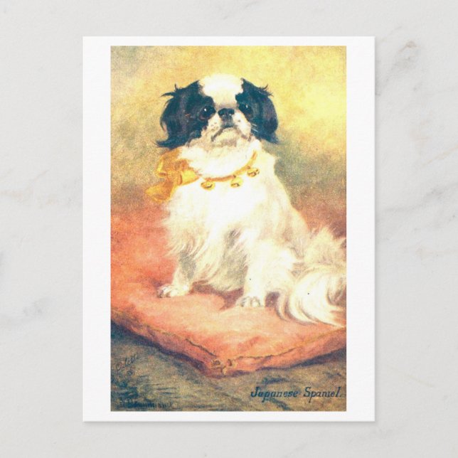 Vintage Japanese Spaniel Postcard (Front)