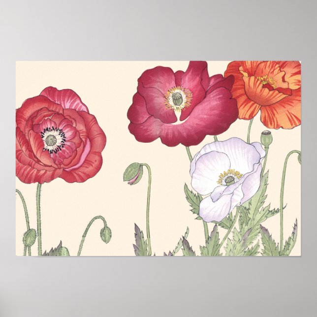Vintage Japanese Ukiyo Art Poppy Flowers Poster (Front)