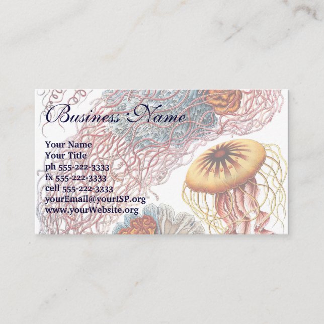 Vintage Jellyfish by Ernst Haeckel, Discomedusae Business Card (Front)