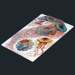 Vintage Jellyfish by Ernst Haeckel, Discomedusae Clipboard<br><div class="desc">Vintage illustration marine life biology design by Ernst Haeckel. A variety of colourful jellyfish animals swimming in the waters of the sea. Jelly fish are free swimming aquatic animals with an umbrella shaped body and long trailing tentacles. They can be found in all of the oceans and some in freshwater...</div>