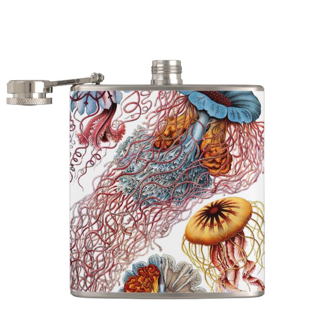 Vintage Jellyfish by Ernst Haeckel, Discomedusae Hip Flask (Opened)