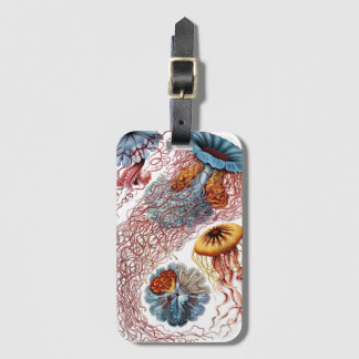 Vintage Jellyfish by Ernst Haeckel, Discomedusae Luggage Tag