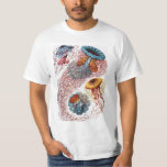 Vintage Jellyfish by Ernst Haeckel, Discomedusae T-Shirt<br><div class="desc">Vintage illustration marine life biology design by Ernst Haeckel. A variety of colourful jellyfish animals swimming in the waters of the sea. Jelly fish are free swimming aquatic animals with an umbrella shaped body and long trailing tentacles. They can be found in all of the oceans and some in freshwater...</div>