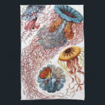 Vintage Jellyfish by Ernst Haeckel, Discomedusae Tea Towel<br><div class="desc">Vintage illustration marine life biology design by Ernst Haeckel. A variety of colourful jellyfish animals swimming in the waters of the sea. Jelly fish are free swimming aquatic animals with an umbrella shaped body and long trailing tentacles. They can be found in all of the oceans and some in freshwater...</div>