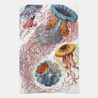 Vintage Jellyfish by Ernst Haeckel, Discomedusae Tea Towel