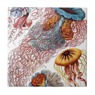 Vintage Jellyfish by Ernst Haeckel, Discomedusae Tile