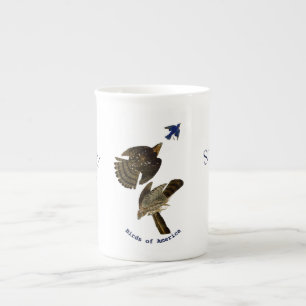 Vintage John Audubon Stanley Hawk Bone China Mug