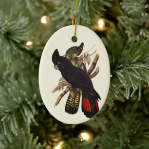  Vintage John Gould Red-Tailed Black Cockatoo Art Ceramic Tree Decoration