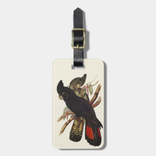 Vintage John Gould Red-Tailed Black Cockatoo Art Luggage Tag