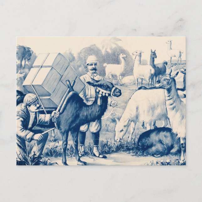 Vintage John Robinson Circus Poster Postcard (Front)