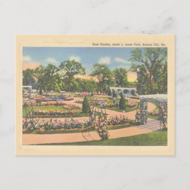 Vintage Kansas City Rose Garden Loose Park Postcard (Front)