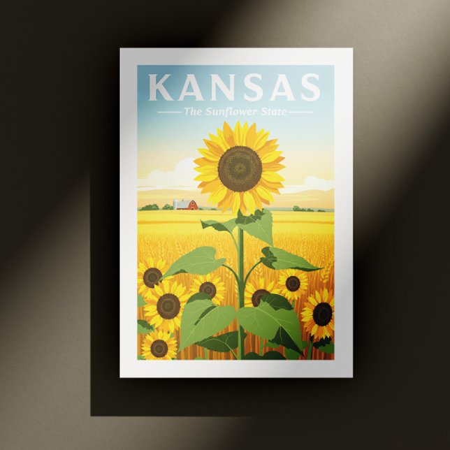 Vintage Kansas Postcard (Creator Uploaded)