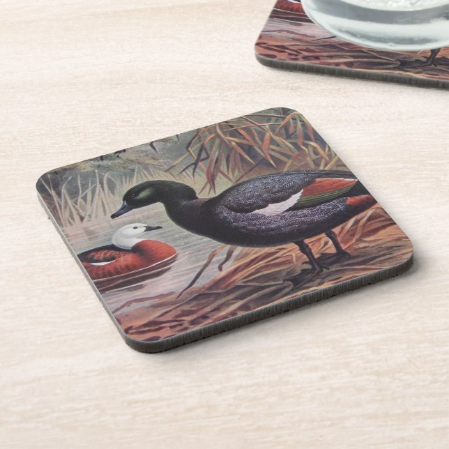 Vintage  Keulemans John Gerrard Paradise Shelduck Coaster (Left Side)