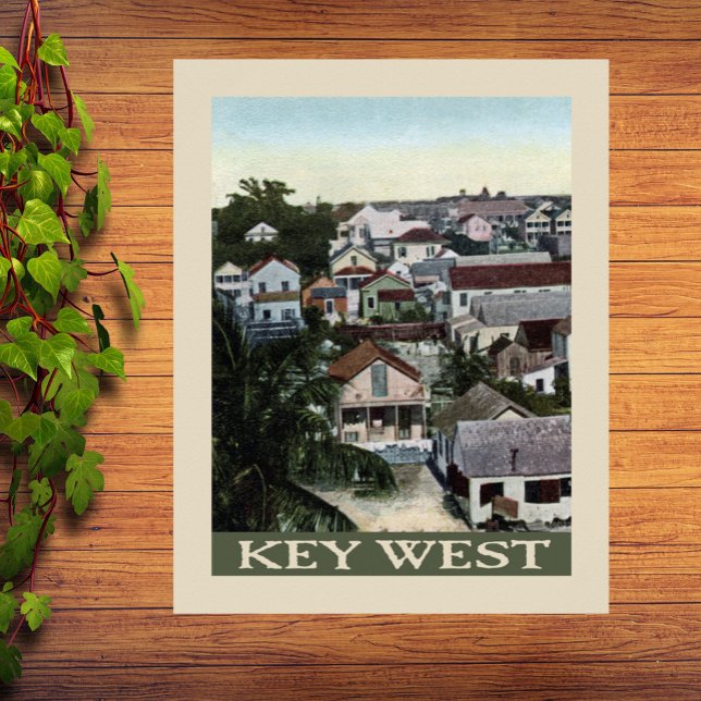 Vintage Key West Houses Poster (Creator Uploaded)