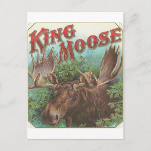 Vintage King Moose Postcard