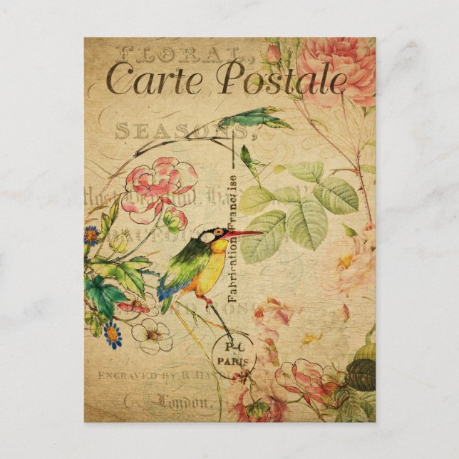 Vintage Kingfisher Bird Floral Flowers French Postcard (Front)