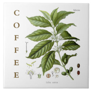 Vintage Kitchen Art: Coffee Plant & Flowers Tile