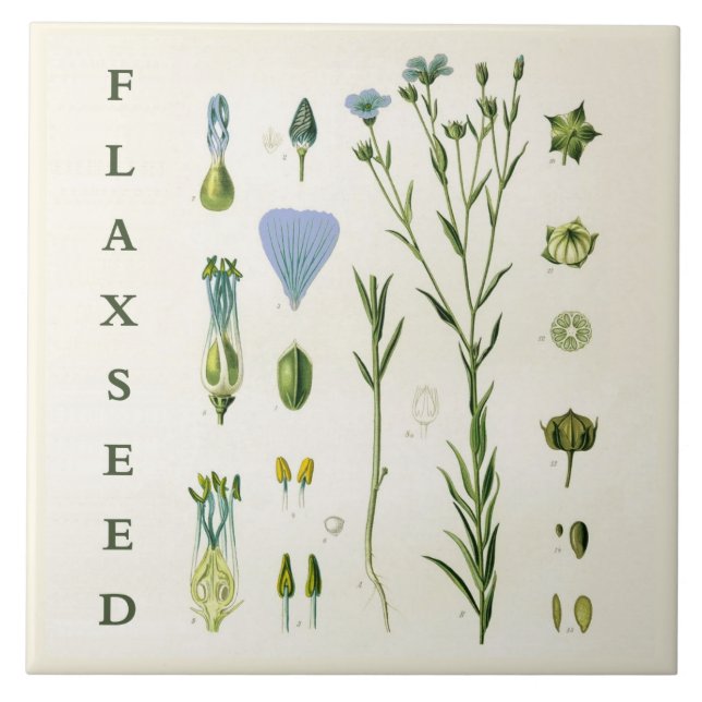 Vintage Kitchen Art: Flaxseed Linseed Flax Plant Tile (Front)