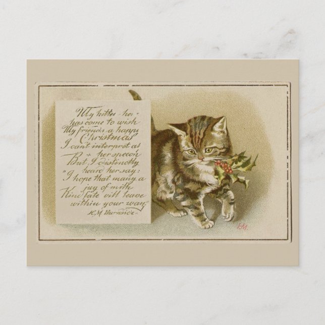 Vintage Kitten Christmas Postcard (Front)