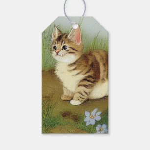 Vintage Kitten Illustration with Flowers Gift Tags