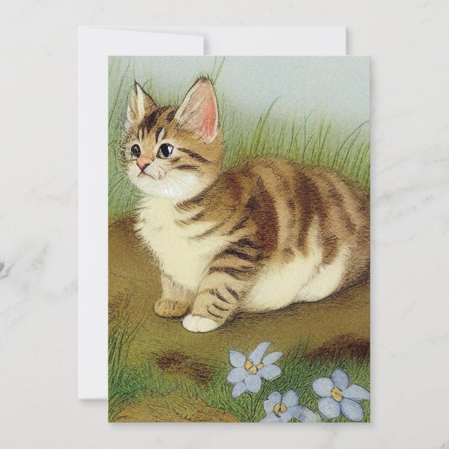 Vintage Kitten Illustration with Flowers Invitation (Front)