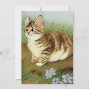 Vintage Kitten Illustration with Flowers Invitation