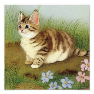 Vintage Kitten Illustration with Flowers Photo Print