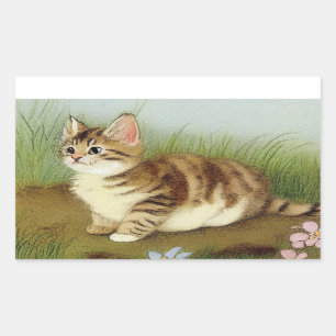 Vintage Kitten Illustration with Flowers Rectangular Sticker