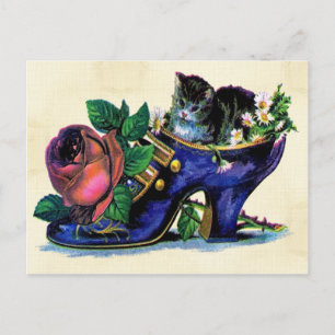 Vintage Kitten In Lady's Shoe Postcard