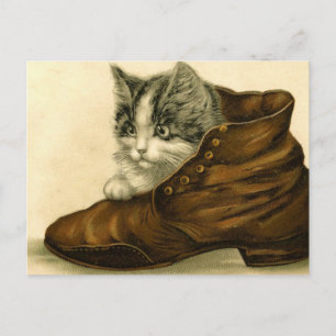 vintage kitten in shoe postcard