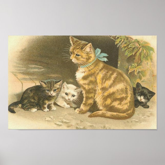 Vintage Kitten Poster (Front)