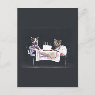 Vintage Kittens Birthday Postcard