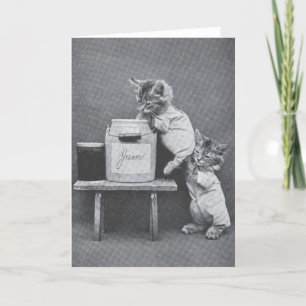 Vintage Kittens Note Card