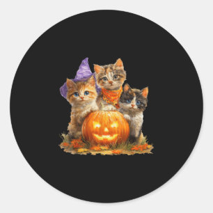 Vintage kittens pumpkin cute cat spooky season classic round sticker